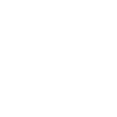 Car Charger