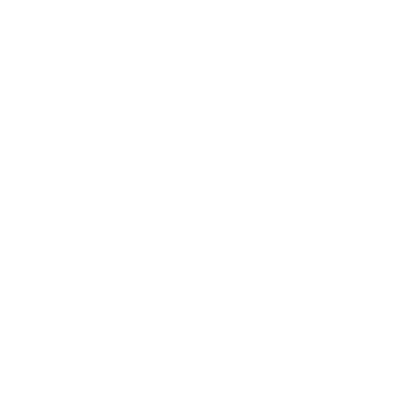 Ethernet Adapter