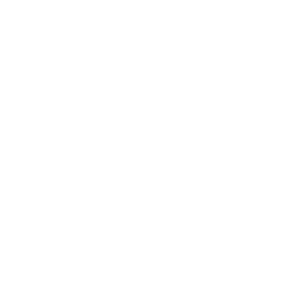 VGA Adapter