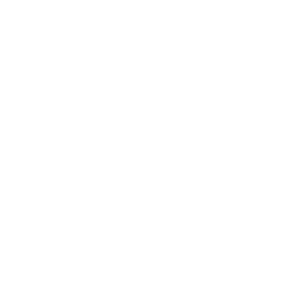 Wall Charger